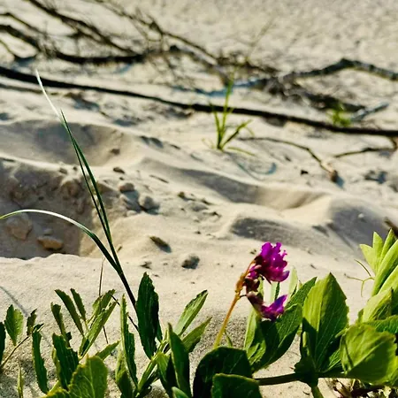 Baltyckie Zacisze Dom Nr 2 Ferienhaus