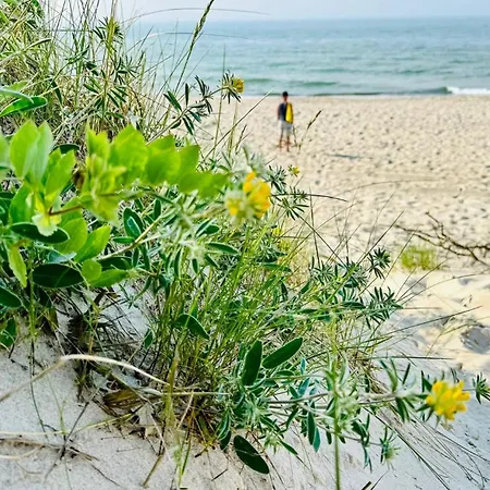 Ferienhaus Baltyckie Zacisze Dom Nr 2 *