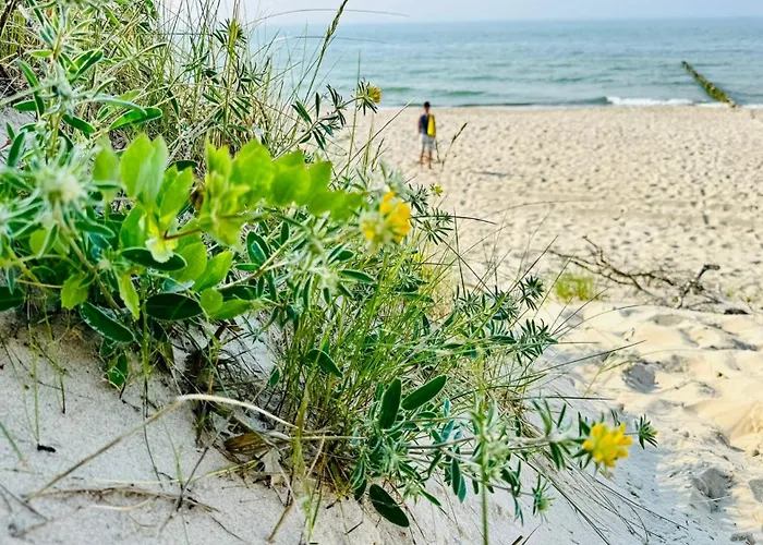 Casa de Férias Baltyckie Zacisze Dom Nr 2 *